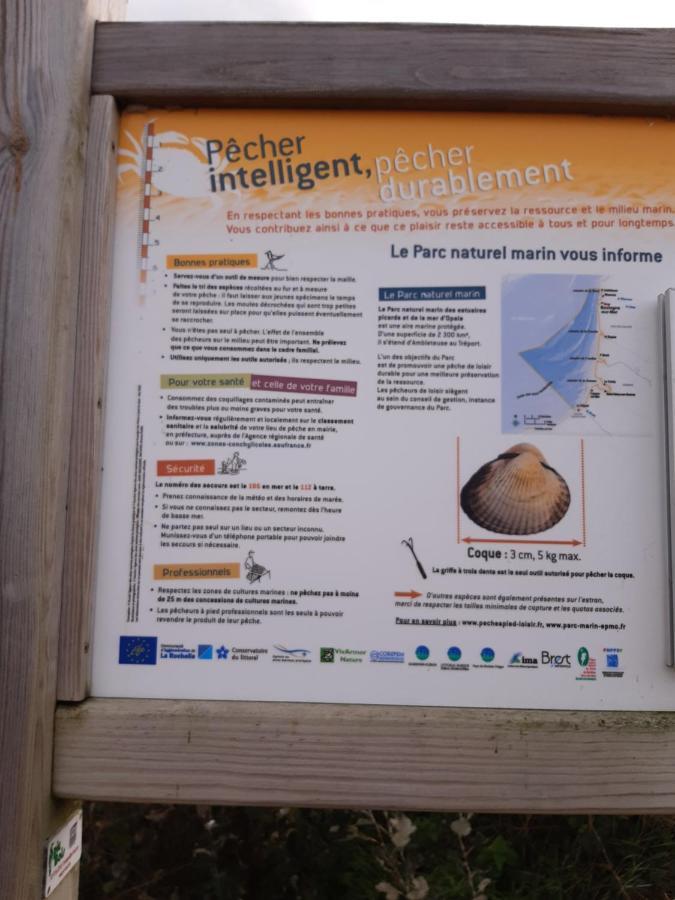 Les Obiones, Vue Laterale Mer, Fort Mahon Plage, Magnifique Studio Cabine 4P, Avec Balcon , Parking Prive Gratuit, Wifi, Classe 2 Etoiles, Exposition Plein Sud En Baie De Somme Kültér fotó