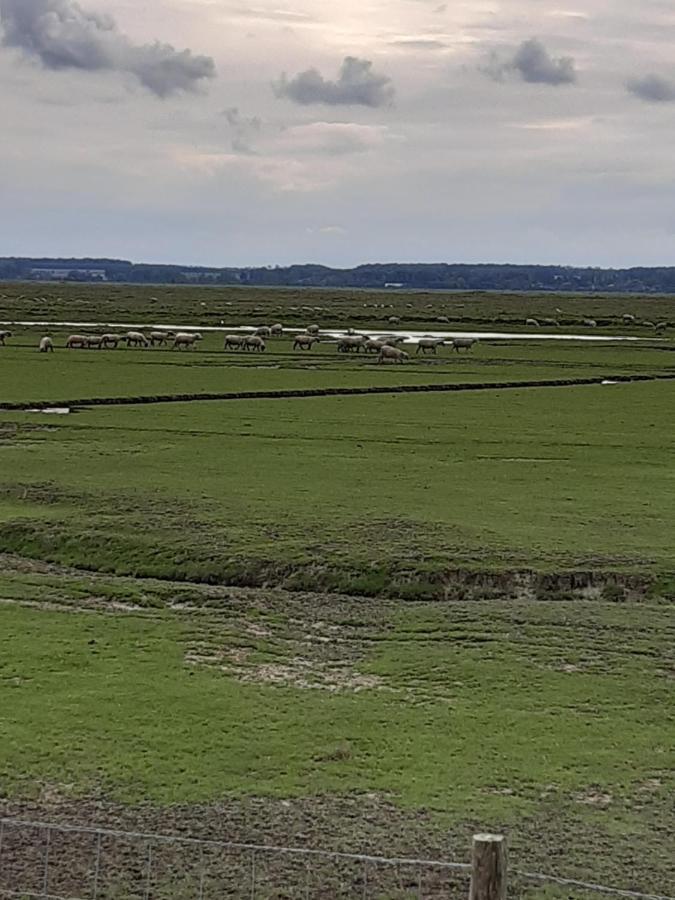 Les Obiones, Vue Laterale Mer, Fort Mahon Plage, Magnifique Studio Cabine 4P, Avec Balcon , Parking Prive Gratuit, Wifi, Classe 2 Etoiles, Exposition Plein Sud En Baie De Somme Kültér fotó