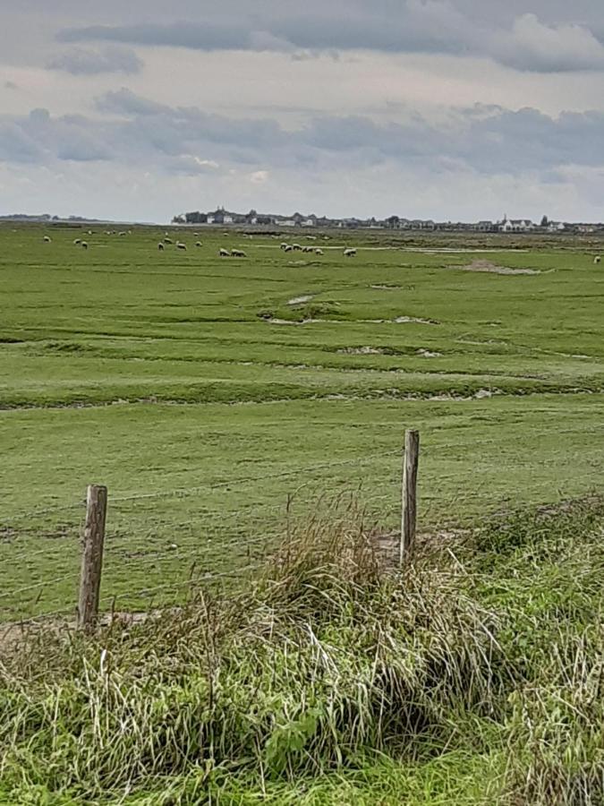 Les Obiones, Vue Laterale Mer, Fort Mahon Plage, Magnifique Studio Cabine 4P, Avec Balcon , Parking Prive Gratuit, Wifi, Classe 2 Etoiles, Exposition Plein Sud En Baie De Somme Kültér fotó